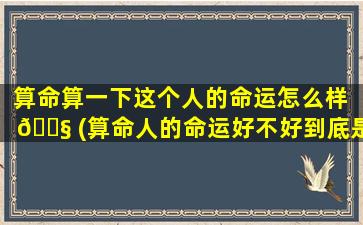 算命算一下这个人的命运怎么样 🐧 (算命人的命运好不好到底是看什么)